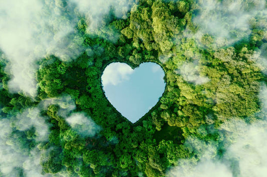 Réduire-votre-empreinte-écologique-grâce-à-la-location-Comment-nos-services-contribuent-à-un-impact-environnemental-faible https://www.loc-360.fr/