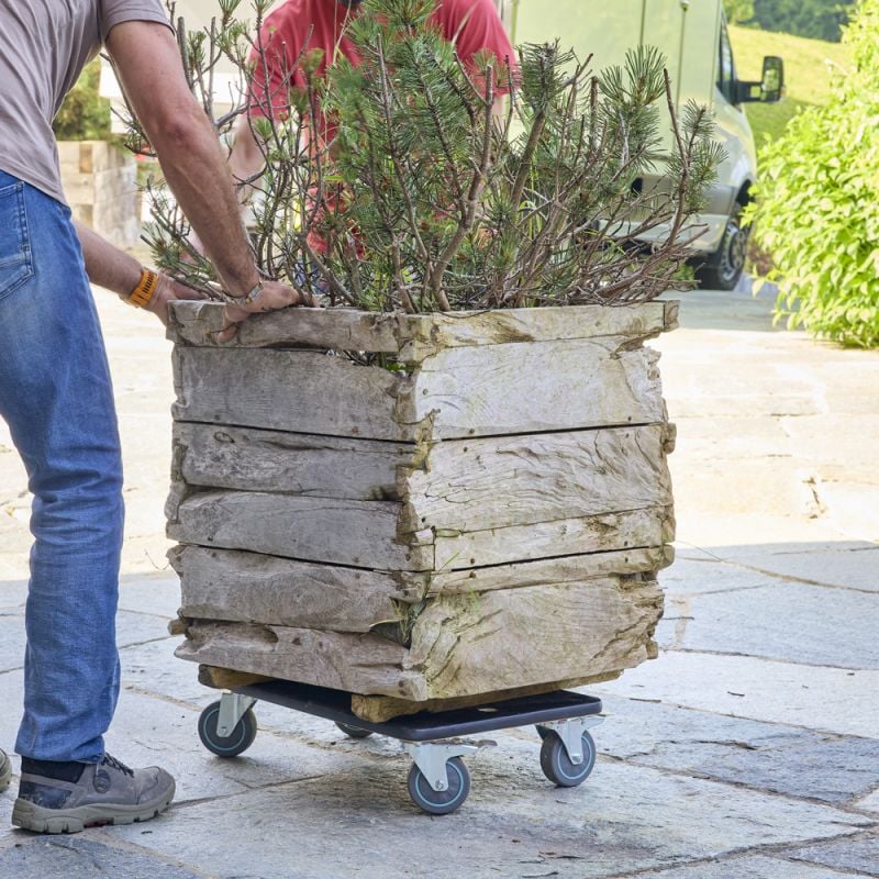 📦 Location Plateau Roulant – Capacité 250 kg