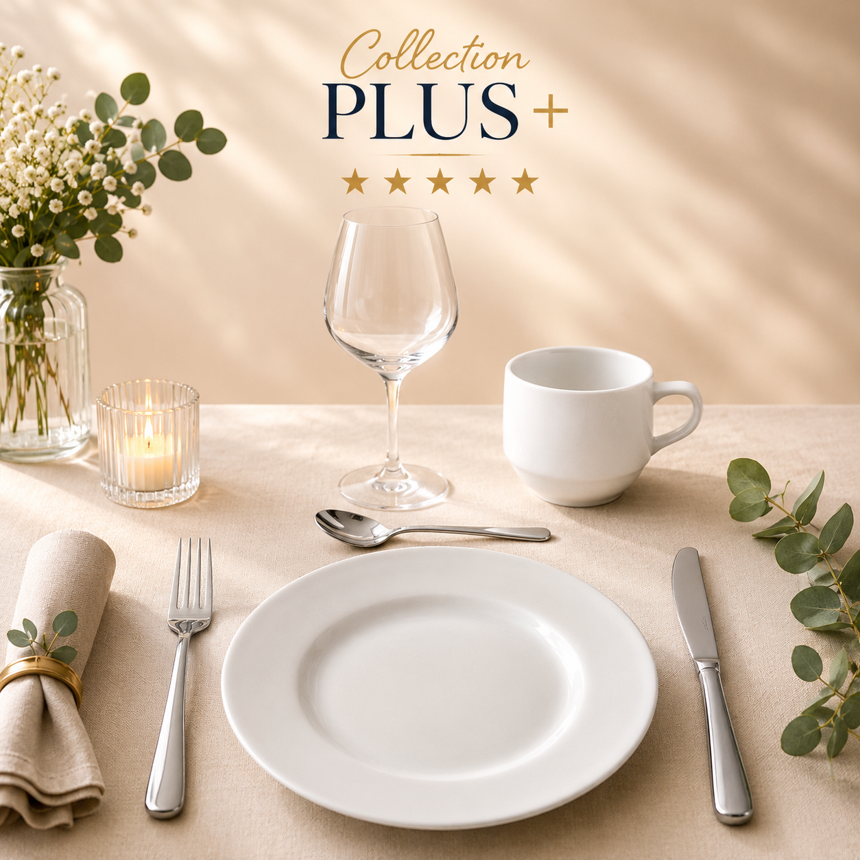 🎉 Ensemble Vaisselle PLUS 🍽️